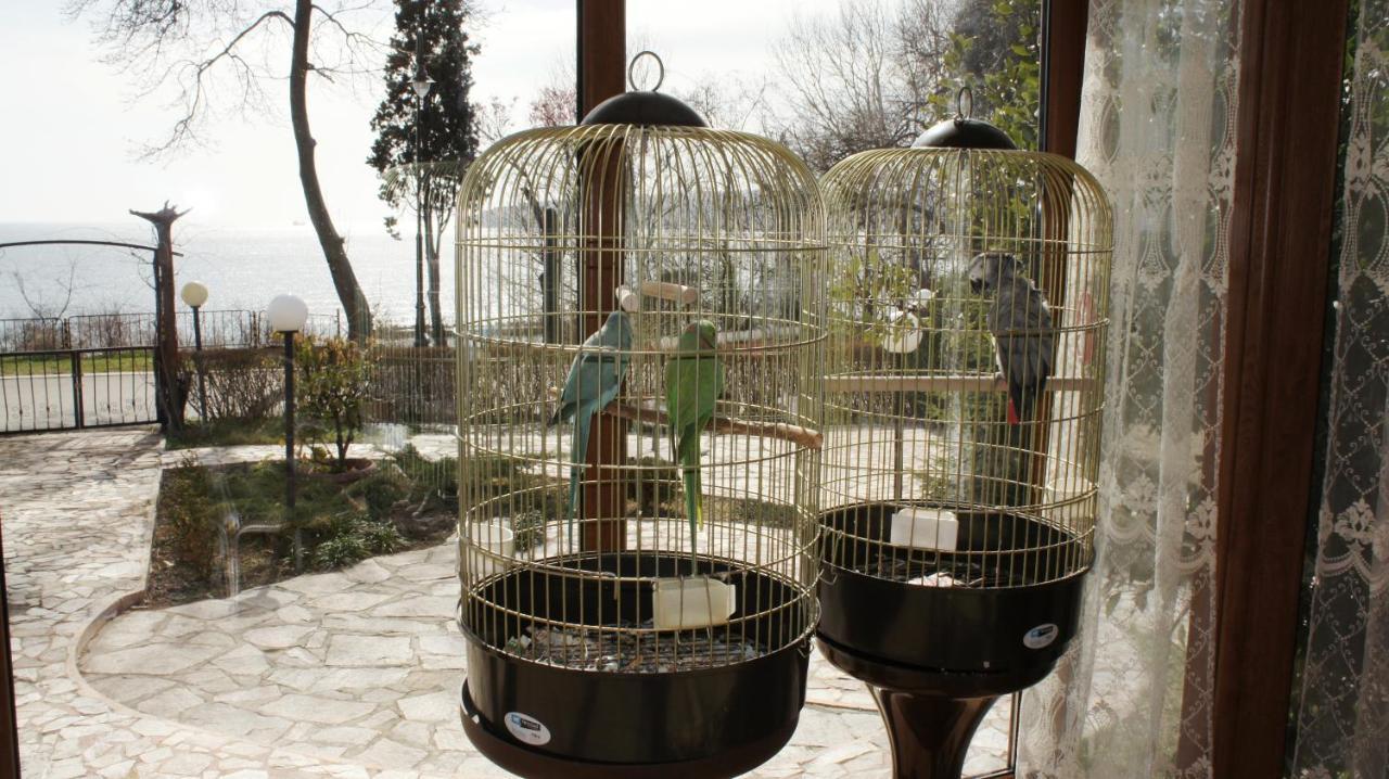 Guest house Maxim Varna