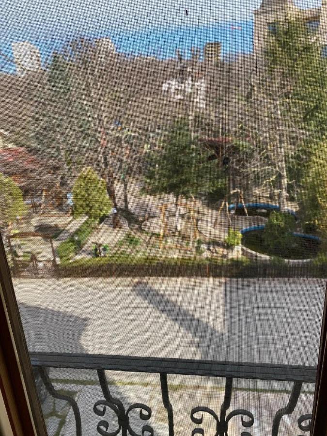 Maxim Guest house